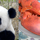 Illustration for article titled Pandas and Lobsters: Why Google Cannot Build Social Applications